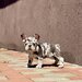 Bulldog Framcez Lilac Merle Tan